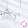 wholesale S925 Sterling Silver Amazon Best-Selling Women's Versatile Niche Chain Twelve Zodiac Signs Zircon Pendant European and American Jewelry-0-5