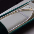 wholesale 18K Gold Freshwater Baby Pearl Necklace Strong Light Cold White Small Bulb Pearl Collarbone Chain Live Broadcast Supply-0-0