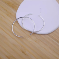 wholesale Metal material trendy plain hoop earrings, celebrity-inspired same style, luxury niche, high-end minimalist versatile daily wear spiral disc earrings-0-1