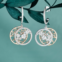 wholesale 925 Sterling Silver Novel Ice Crack Pattern Earrings for Women, High-End Sense, Double-Layer Mallard Style Autumn Winter Accessories Wholesale-Ice Plum Earrings Double Layer 925 Silver