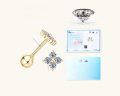 wholesale 10K Gold Korean Fashion Sweet Moissanite Earrings for Women, Elegant and Trendy Ear Drops-0-6