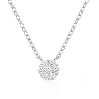 wholesale S925 Sterling Silver Plated With K Gold, 7 Zircon Flower Necklace For Women, Wedding, Simple And Fresh Collarbone Chain-Platinum 925 silver