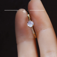 wholesale S925 Sterling Silver Red Elk Asymmetric Fashion Minimalist Versatile Ring Light Luxury French Style Large Size Niche and Unique-BZ0421-Gold US Size 9