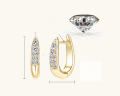wholesale S925 Sterling Silver European and American Personalized Design Moissanite Earrings for Women, Small and Exquisite High-End Elegant Ear Clips-0-5