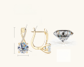 wholesale S925 Sterling Silver Cross-Border New Fashion Versatile Moissanite Earrings Ear Drops for Women High-End Ear Studs Wholesale-0-5