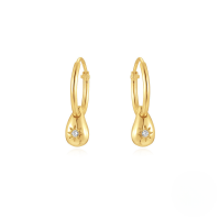 wholesale S925 Sterling Silver Zircon-inlaid Octagram Pendant Ear Hoop Earrings,ins-Gold 925 silver