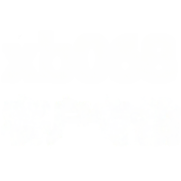 wholesale Metal material XB068 diamond-encrusted double T bracelet customer special shoot-XB068-17 platinum