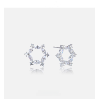wholesale S925 Silver Plated Hexagram Earrings with Zirconia, Minimalist and Fresh Style, Korean Version, for Women Wholesale-003150-Platinum 925 Silver