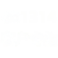 wholesale Full Diamond XB1314-5 Stud Earrings Customer Exclusive-xb1314-white gold