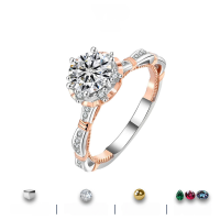 wholesale S925 Sterling Silver Moissanite Diamond Ring Runaway Princess Ring Six-Prong Luxury 1 Carat Engagement Wedding Band-1 carat (D color moissanite) 9 US size