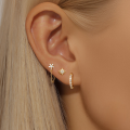 wholesale S925 Sterling Silver Exquisite Fashion Zircon Inlaid Ear Clasp Hoop, Double Layer Fishbone Stud Earring Set-0-3