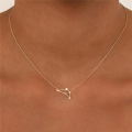 wholesale S925 Sterling Silver New Zodiac Star Pendant Necklace With Zircons, Trendy And Popular-0-2