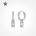 wholesale S925 Sterling Silver INS Style New Rectangle Zircon Design Elegant and Fashionable High-End Earrings Wholesale-0-0