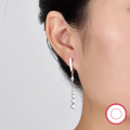 wholesale S925 Sterling Silver Earrings with Luxury Design, High-End Sense Ear Drops, Tassel, Inlaid Zircon and Rhinestone Ear Clasp Jewelry-0-3