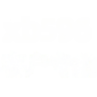 wholesale Metal Butterfly Ring - XB596 Customer Exclusive Purchase-xb596-white gold