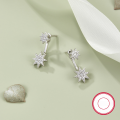 wholesale 925 Sterling Silver Ear Studs High-end, Cross-border Hot Pick Eight-point Star Inlaid Diamond French INS Style Niche Earrings for Women-0-2