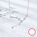 wholesale S925 Sterling Silver Amazon Best-Selling Women's Versatile Niche Chain Twelve Zodiac Signs Zircon Pendant European and American Jewelry-0-9