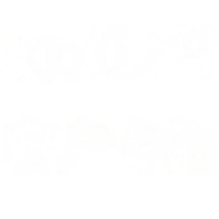 wholesale Metal Double T Ring Customer Exclusive Purchase-xb029-diamond white mother-of-pearl platinum