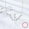wholesale S925 Sterling Silver Amazon Best-Selling Women's Versatile Niche Chain Twelve Zodiac Signs Zircon Pendant European and American Jewelry-0-15