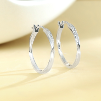 wholesale 925 Sterling Silver Ins Winter-Simple Hoop Earrings, Mobius High-End Minimalist Niche Earrings, Hong Kong Style Wholesale-White gold earrings>925 silver