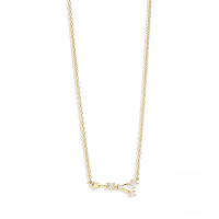 wholesale S925 Sterling Silver New Zodiac Star Pendant Necklace With Zircons, Trendy And Popular-Gold-Cancer 925 Silver