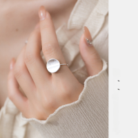 wholesale 925 Sterling Silver Circular Brushed Ring Arc Collection Ins Advanced Design Elegant Socialite Jewelry R01469-M04095-Brushed Potato Chip Earrings S925 Silver