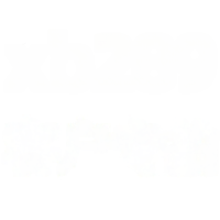 wholesale Stainless Steel XB289 Small Key Necklace Customer Exclusive-xb289-white gold