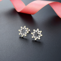 wholesale S925 silver zirconia star-shaped earrings, octagonal star style, Korean and Japanese version, popular women's jewelry, diamond-encrusted earrings-0-0