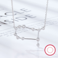 wholesale S925 Sterling Silver Amazon Best-Selling Women's Versatile Niche Chain Twelve Zodiac Signs Zircon Pendant European and American Jewelry-0-10