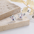 wholesale S925 Sterling Silver Trendy Five-Point Star Colorful Diamond Stud Earrings, Fresh and Sweet Little Luxury Style Versatile Earrings-0-0