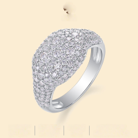 wholesale 925 Silver European and American Fashion Light Luxury Full Diamond Ring, Non-Tarnish, High-End Versatile Cross-Border New Moissanite Ring-Moissanite>US No. 6