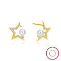 wholesale S925 sterling silver gold-plated ultra-sparkling zirconia drop earrings, manufacturer wholesale-0-76