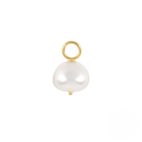 wholesale S925 Sterling Silver Earrings Charm Bead Pendant Accessories For Women's Office Wear-#26