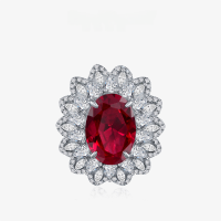 wholesale S925 Sterling Silver 5ct 12*15 Oval Cultured Ruby/Sapphire Ring for Women, European and American Luxury Style, New Collection by Shipei Jewelry-Cultivated Ruby【R-1936】 No.8