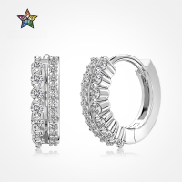 wholesale S925 Sterling Silver Women's Earrings, Small and Exquisite, Light Luxury, Delicate Row of Diamonds Design, Stylish and Fashionable Plain Silver Earrings for Women-White gold DY110337-SW-WH 925 silver