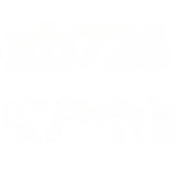 wholesale Metal material - Four-leaf clover necklace customer special order-xb726-white gold