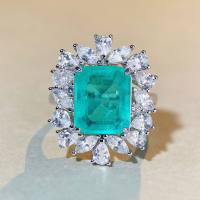 wholesale S925 Sterling Silver Emerald with Inclusions Paraiba Blue Ring Luxury Fully Set with Zircon Cross-Border Wholesale Style-Emerald-CBJZ383 9