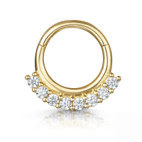 wholesale S925 Sterling Silver European And American Hot-selling Light Luxury Multi-zircon Zirconia Cartilage Nose Ring And Ear Clips-Single gold-style 2