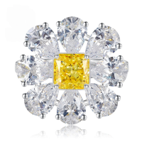 wholesale S925 Sterling Silver Imported High Carbon Diamond 6*6 Yellow Diamond Ring Cluster Floral Setting Engagement Ring-R652 Yellow Diamond No. 6