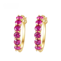 wholesale S925 Sterling Silver Light Luxury Fashionable Color Zirconia Earrings with Exquisite Cultured Ruby-0-6