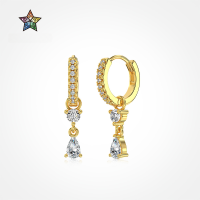 wholesale S925 Sterling Silver Light Luxury High-End Pear-Shaped Round Diamond Zircon Design Elegant and Fashionable Earrings for Women-Platinum DY110295-SW-WH 925 Silver