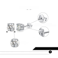 wholesale S925 Sterling Silver Zodiac Birthstone Zircon Stud Earrings, Cross-Border Bestseller, Direct from Manufacturer-0-3