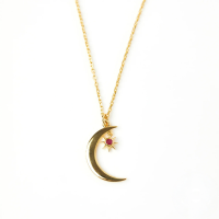 wholesale S925 Sterling Silver January To December Birthstone Zircon Star And Moon Necklace, Elegant And Creativehot-selling Collarbone Chain-Gold-Rose Red Diamond 5# 925 Silver