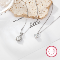 wholesale 925 Sterling Silver Cross-border Exclusive Women's Versatile Small and Exquisite High-end Zircon Pendant Necklace Foreign Trade Jewelry Wholesale-0-3