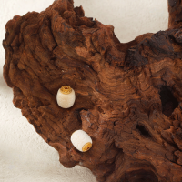 wholesale Gold-plated 925 silver carved natural mammoth ivory barrel bead with key pattern and six-syllable mantra DIY silver jewelry accessory-Mammoth Pattern Patch