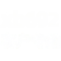 wholesale Metal XB692 Camellia Earrings Customer Exclusive Purchase-xb692-white gold