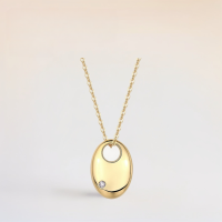 wholesale S925 Silver Gold Drop Fashion Ins Collarbone Chain Retro Pendant Small Luxury High-End Women's Jewelry Necklace-Moissanite 2.5mm