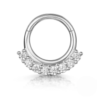 wholesale S925 Sterling Silver European And American Hot-selling Light Luxury Multi-zircon Zirconia Cartilage Nose Ring And Ear Clips-Single platinum-style 2