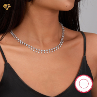 wholesale S925 Sterling Silver Cross-Border Exclusive Light Luxury High-End Beaded Zircon Necklace Banquet Foreign Trade Jewelry Wholesale for Women-Party zircon necklace (20.2g)  925 silver