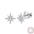 wholesale 925 Sterling Silver Starfish Zircon Earrings, Simple Fashion Versatile Earrings, Cross-border Direct from Manufacturer-0-2